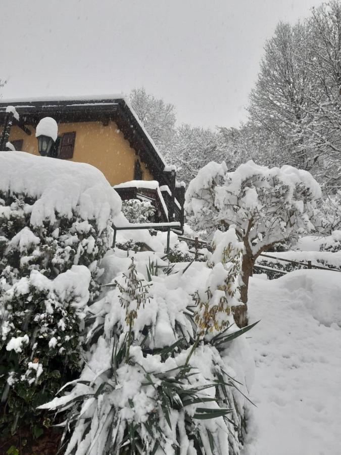 Casa Amici Del Bosco Bed & Breakfast Medolago Eksteriør bilde